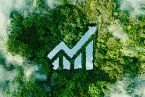 股票ETF连续19日获净申购，累计净流入3625亿元，4只ETF净流入超400亿（名单）